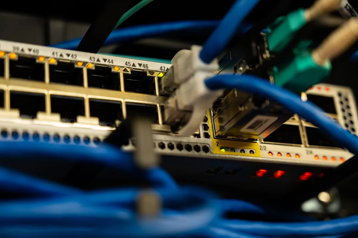 Ethernet cables plugged into a network switch