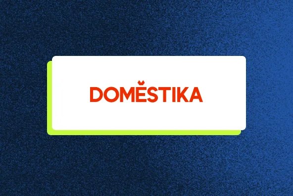 Domestika