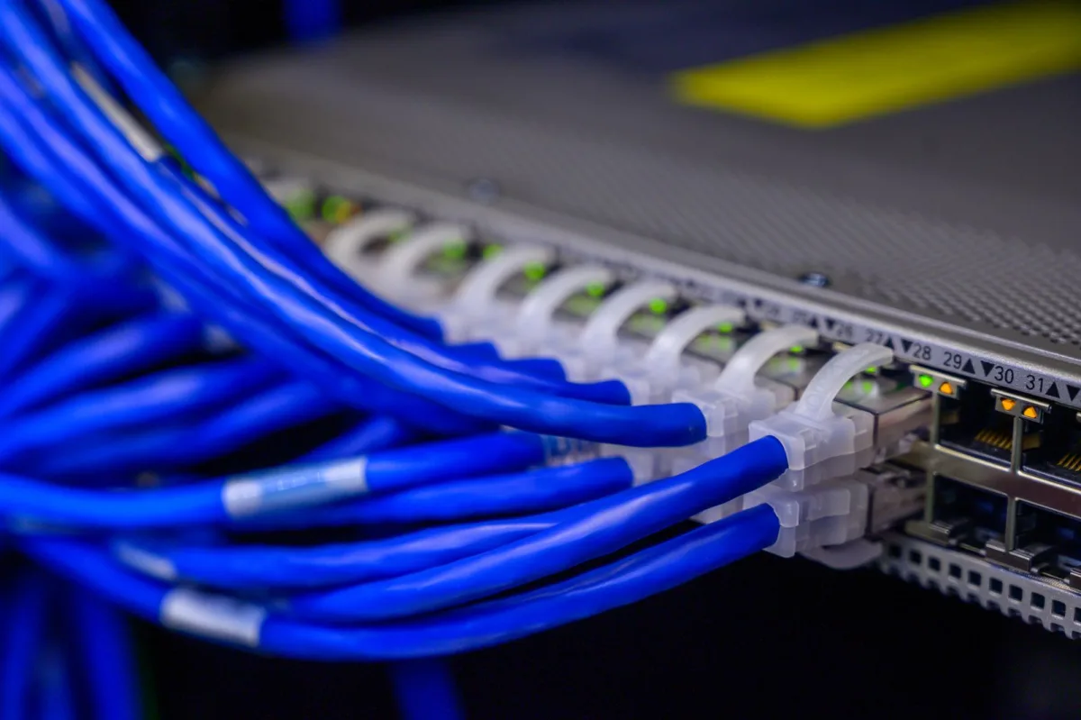 Blaue Netzwerkkabel stecken in einem Switch im Rechenzentrum