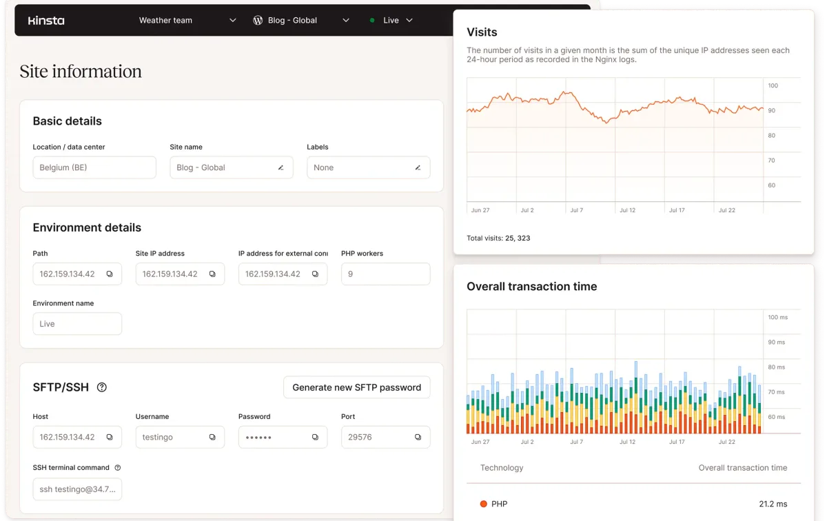   Detailed page information with visitor statistics. (Excerpt from    kinsta.com   )  