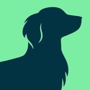 askDANTE logo