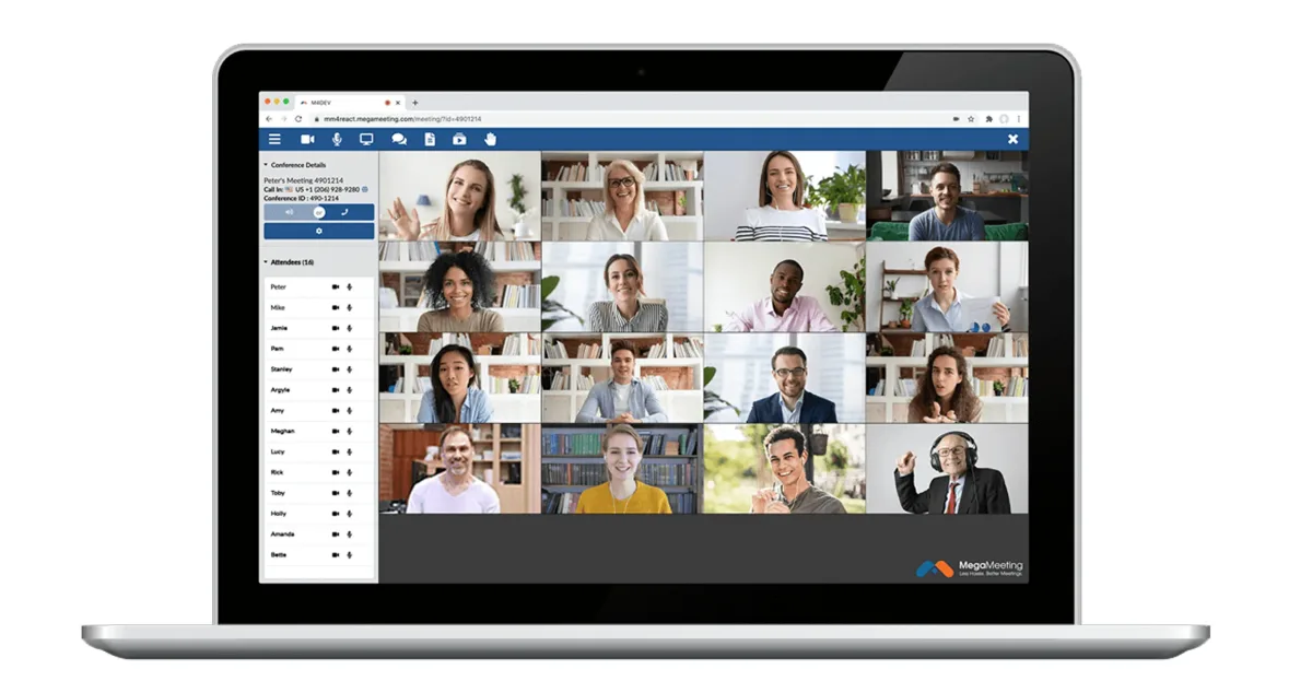   Video conference interface view. (Excerpt from    megameeting.com   )  