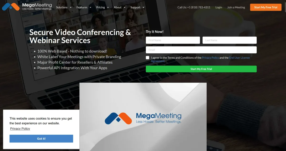   MegaMeeting landing page (excerpt from    megameeting.com   )  